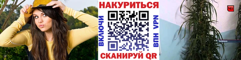 Как найти наркотики Пролетарск АМФЕТАМИН  МЕФ  Кокаин  ГАШИШ  Каннабис 