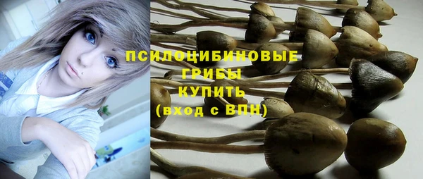 трава Алзамай