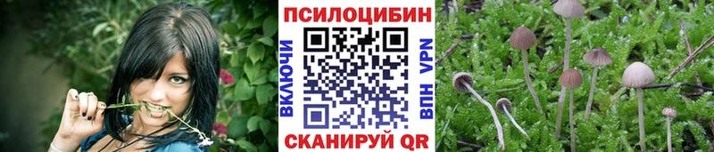 купить Пролетарск Галлюциногенные грибы GOLDEN TEACHER